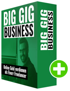 Cover BIG GIG BUSINESS